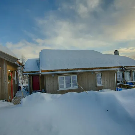 New 4bedroom With Sauna, Terrace & Fireplace シャレー Beitostolen